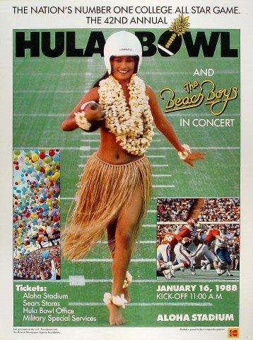 The Beach Boys Poster