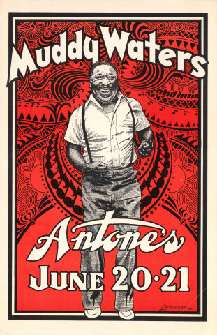 Muddy Waters Poster