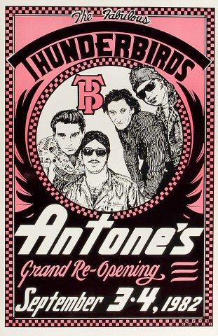 The Fabulous Thunderbirds Poster