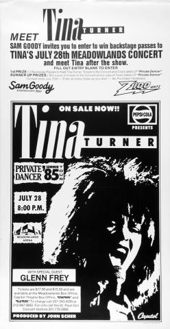 Tina Turner Poster