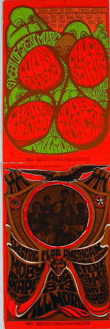 Electric Flag Postcard