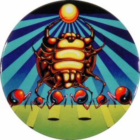 Jimi Hendrix Experience Pin