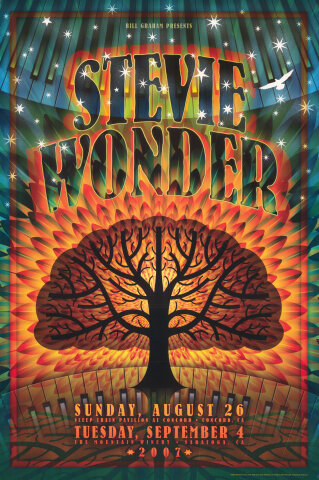 Stevie Wonder Poster