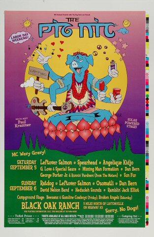 Leftover Salmon Proof