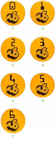 US Festival Backstage Pass