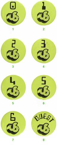 US Festival Backstage Pass