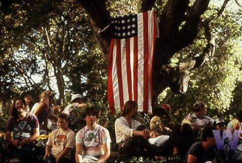 Deadheads Fine Art Print