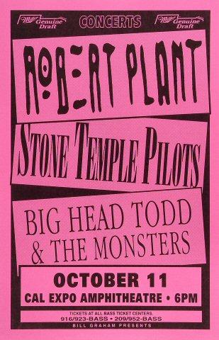 Robert Plant Poster