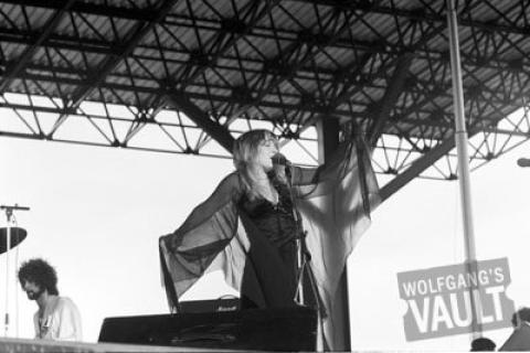 Stevie Nicks Fine Art Print