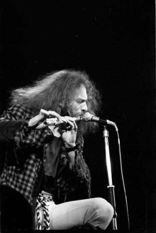 Ian Anderson Fine Art Print