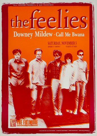 The Feelies Poster