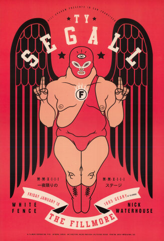 Ty Segall Poster