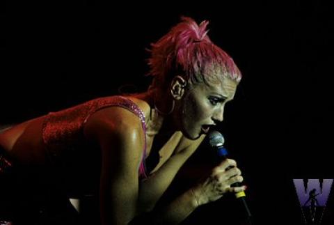 Gwen Stefani Fine Art Print