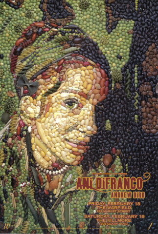 Ani DiFranco Poster
