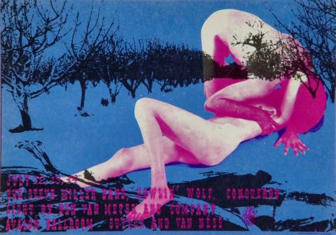 Steve Miller Band Postcard