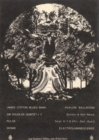 James Cotton Blues Band Postcard