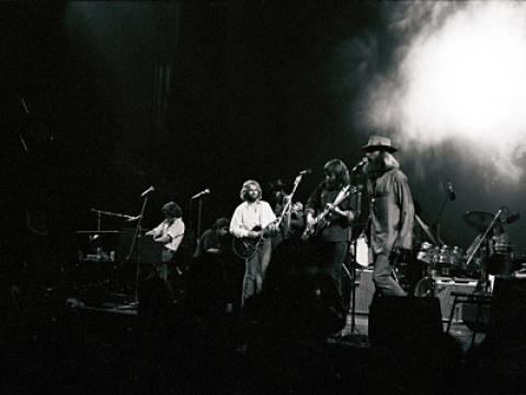 The Beach Boys Fine Art Print