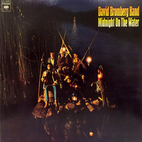 David Bromberg Vinyl 12"