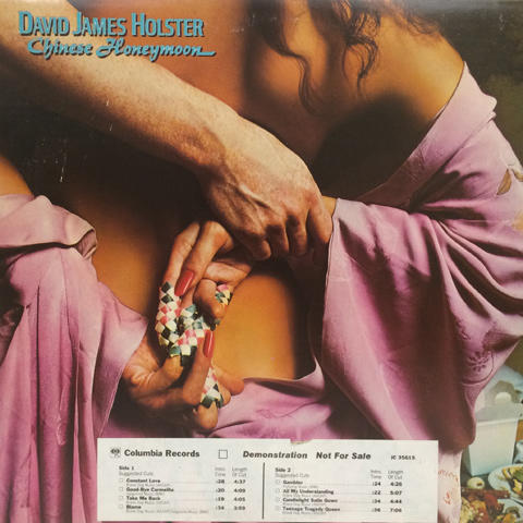 David James Holster Vinyl 12"