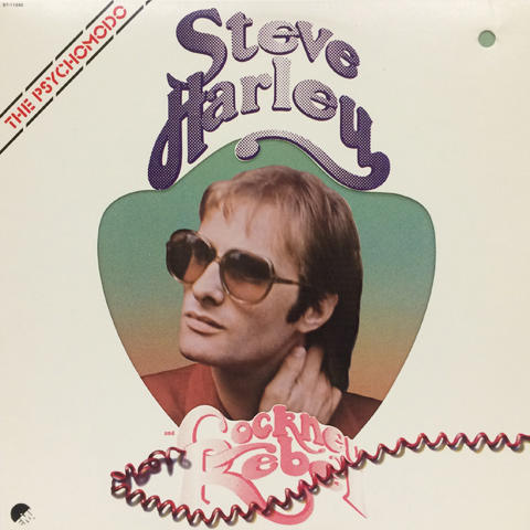 Steve Hartley Vinyl 12"