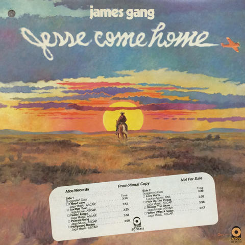 Jesse Gang Vinyl 12"