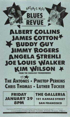 Albert Collins Poster