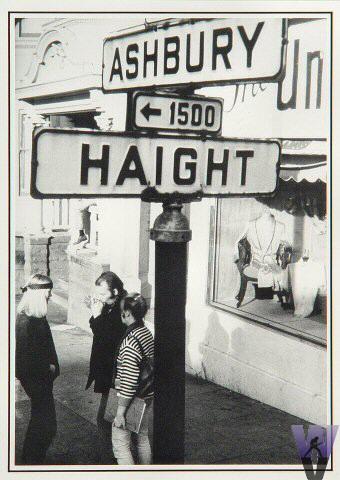 Haight Ashbury Street Sign Postcard