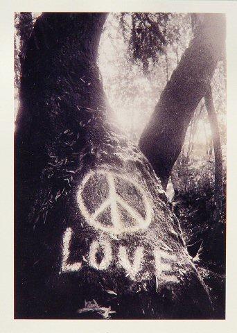 Gene Anthony Greeting Card