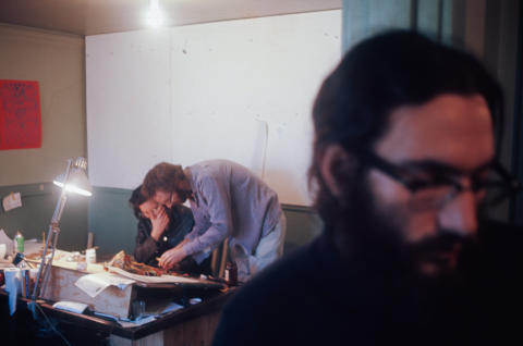 Allen Cohen Fine Art Print