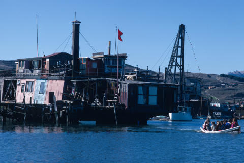 Jean Varda Fine Art Print