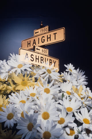 Haight Ashbury Street Sign Fine Art Print
