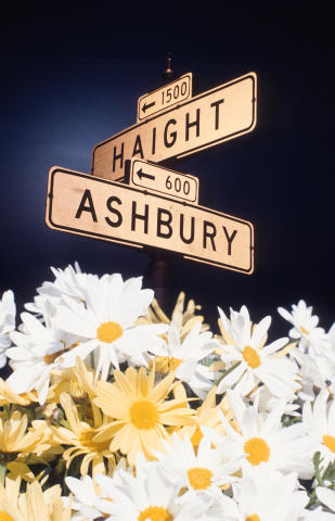 Haight Ashbury Street Sign Fine Art Print