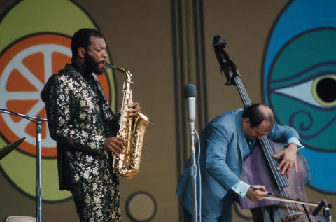 Best of Monterey Pop Vol 1 Fine Art Print