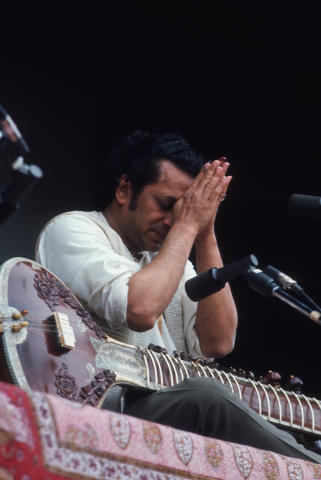 Best of Monterey Pop Vol 1 Fine Art Print