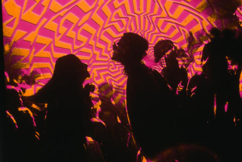 Trips Festival Fine Art Print