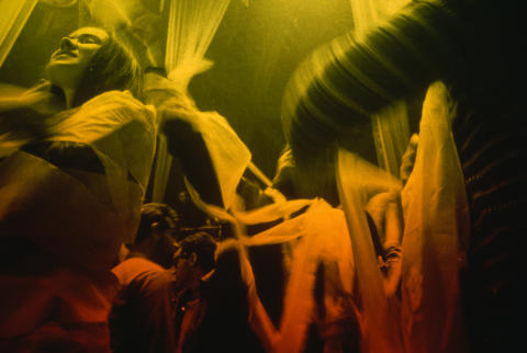 Trips Festival Fine Art Print