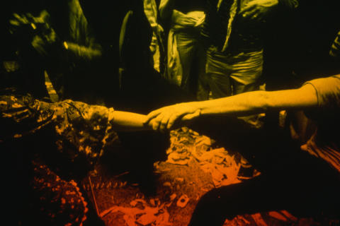 Trips Festival Fine Art Print