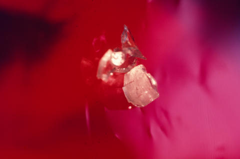 Ice, Meth, Speed Fine Art Print