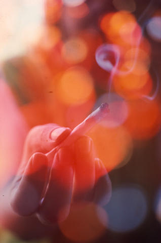 Marijuana Fine Art Print