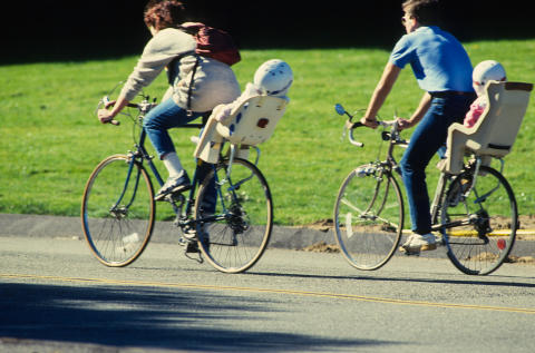 Various Fine Art Print