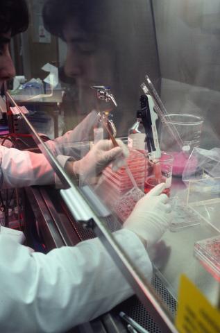 Various Fine Art Print