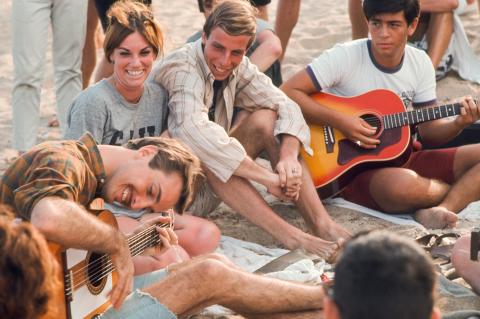 Various Fine Art Print