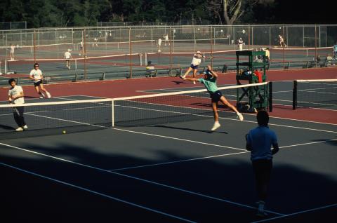 Various Fine Art Print