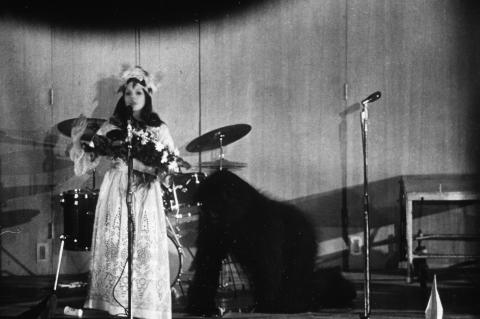 Various Fine Art Print