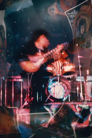 Various Fine Art Print