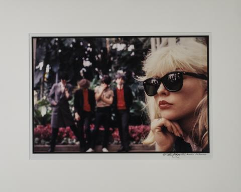 Blondie Fine Art Print