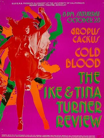 Ike & Tina Turner Poster