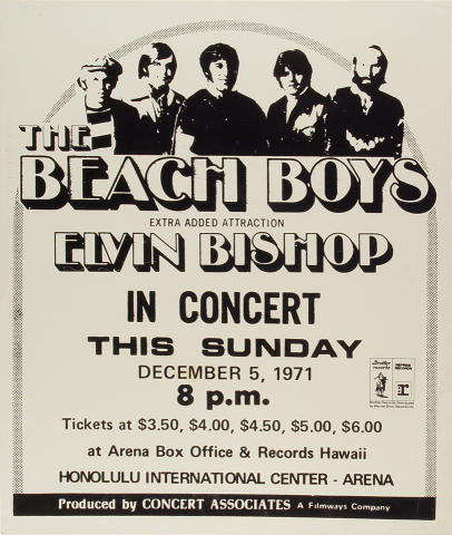 The Beach Boys Poster
