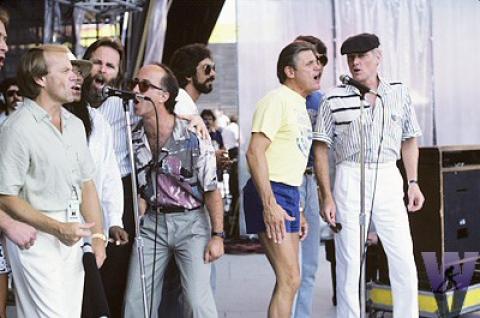 The Beach Boys Fine Art Print