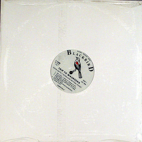 Gene Mayl's Dixieland Rhythm Kings Vinyl 12"